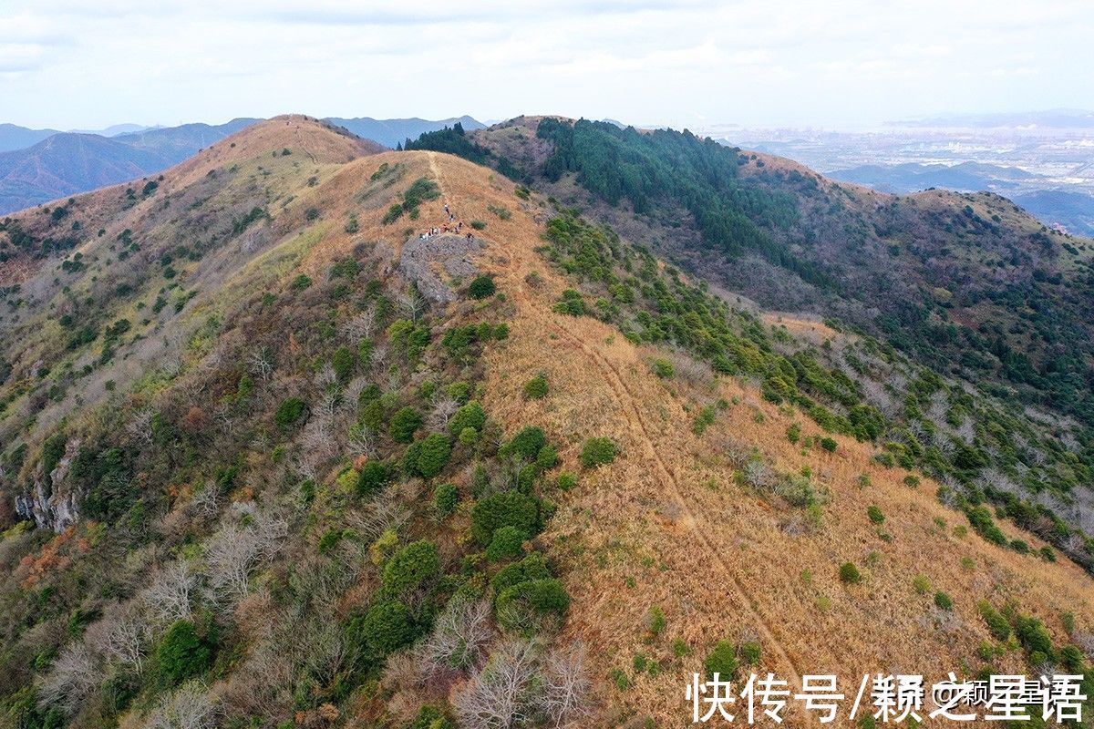 东盘山|福泉山漫山芦花消失，幸好还有东盘山，宁波唯一的高山草甸风光