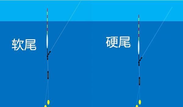 技巧|调漂技巧:同样的调目和钓目,为何双饵状态效果不同,灵钝不同?