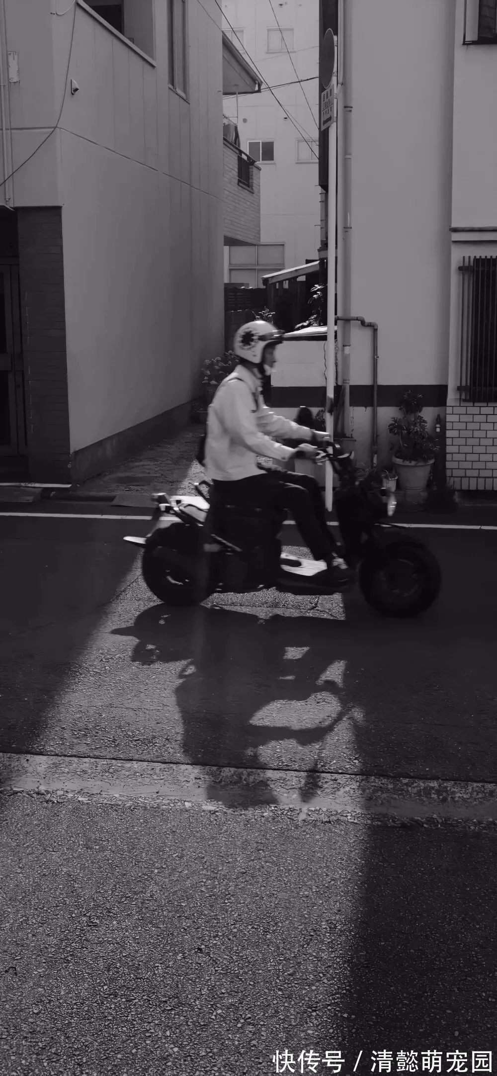 如喪|神仙·壁紙丨人之所以傷心,是因為看得不夠遠