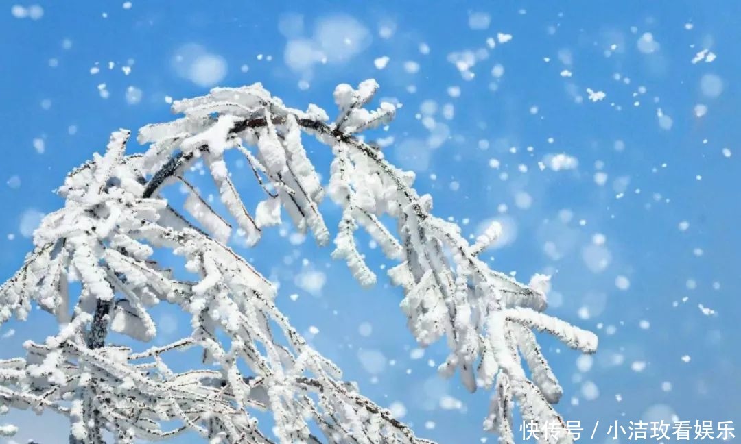 眷恋|雪后的泰山！美！