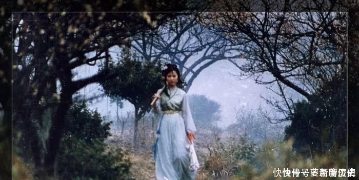 贾代善|极完美的女子，不完美的母亲——黛玉之母贾敏