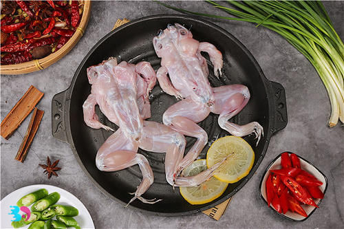 牛蛙和田鸡的区别，怎么挑选好吃的牛蛙?