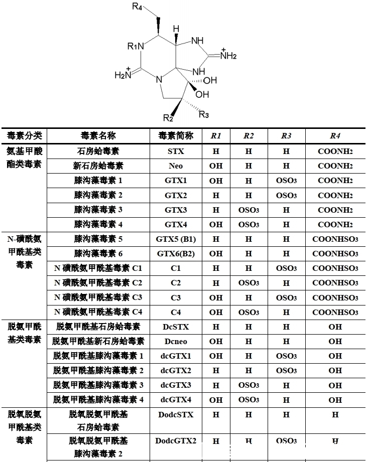 剧毒|比眼镜蛇毒强80倍的剧毒，为何出现在吃了几十年的海鲜里？