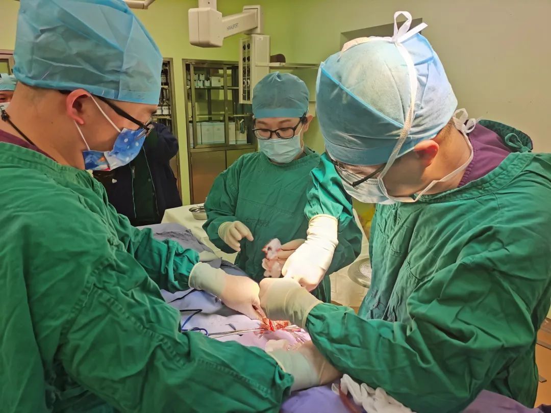ecmo|北京医院多学科团队应用V-AECMO成功挽救年轻小伙儿生命
