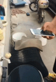 |搞笑GIF:长点心吧 对面住的可都是单身汉啊