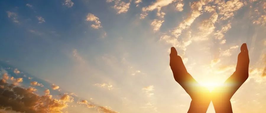 通阳|阳气产生于脾，根于肾，萌芽于肝！补阳方法大全在这里！