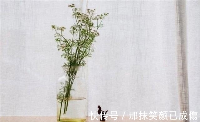 癌症|医生提醒:有这六种特征的人,很可能是癌症免疫体