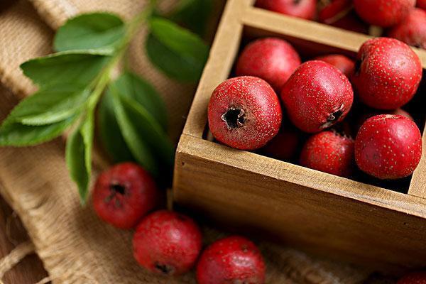 营养均衡|男人怎么能说不行！合理搭配食物，吃出健康，吃出强壮