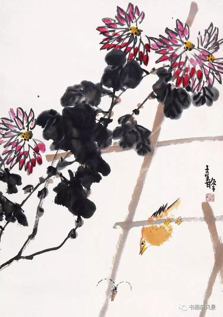  张辛稼|一鸟一虫一世界，真美！