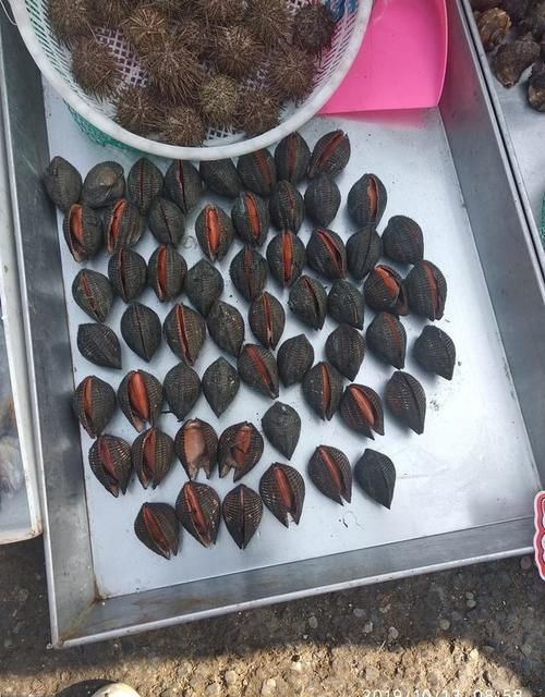 哪里海鲜好吃？