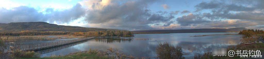 钓鱼时常用的酒米窝料，其实是可以这样生产的，制作方法简单易学