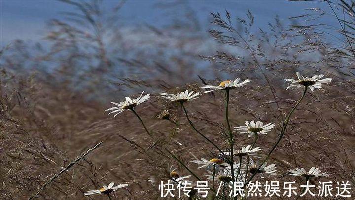 人生$写好一个“人”,只需两笔;做好一个人,却要一生