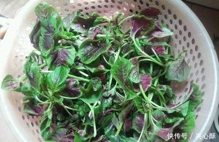 排毒|过了40岁,“大姨妈”量少就得多吃它,活血化瘀,排毒更健康