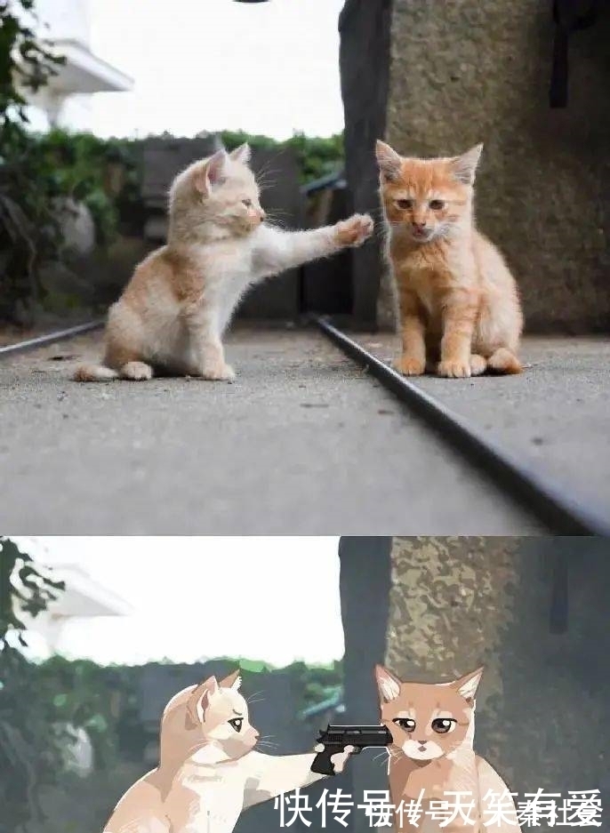 小动物|现实中的小动物漫改成二次元后是什么样?太有故事性了吧!