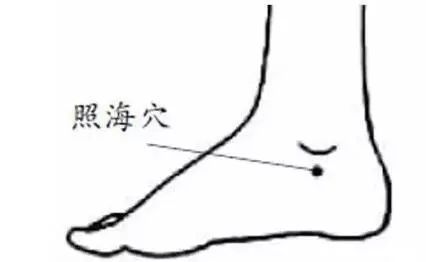三阴交|各种病都能找到对应的穴位，1穴搞定1病症快快分享给朋友