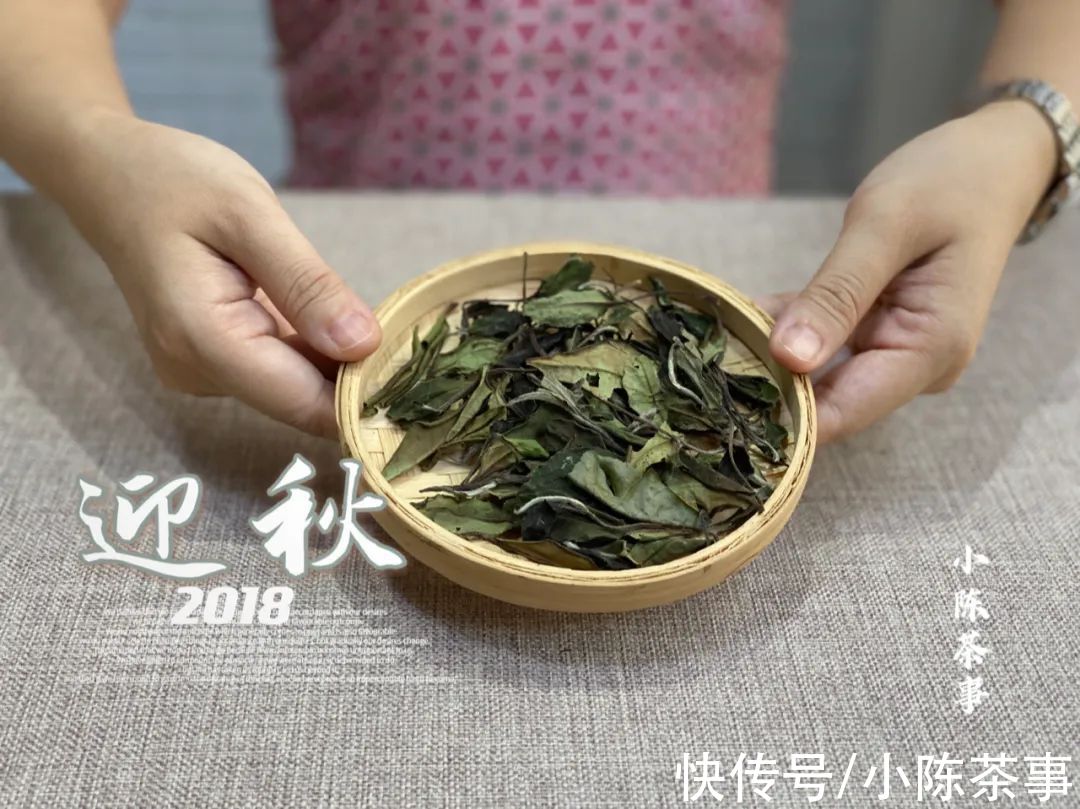 小技巧&白茶真的很难懂吗？学会这4点买茶小技巧，你就算入门了