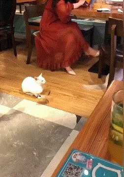 |搞笑GIF:妹子这跳的什么舞蹈啊,怎么看起来蛇精一般呢