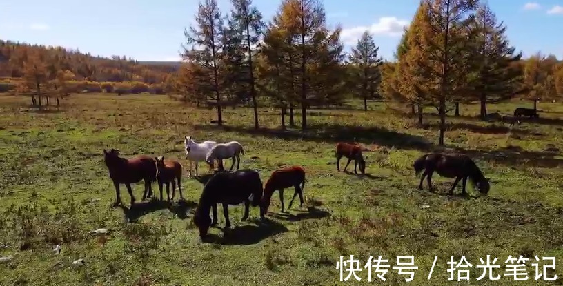 秋天|秋天的阿尔山童话般的世界，自驾这里有油画般的风景