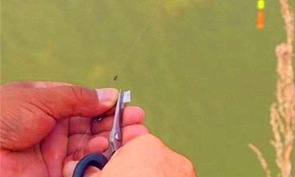 水底|调漂技巧带饵调漂的操作要领和公式,按照公式调漂,肯定错不了