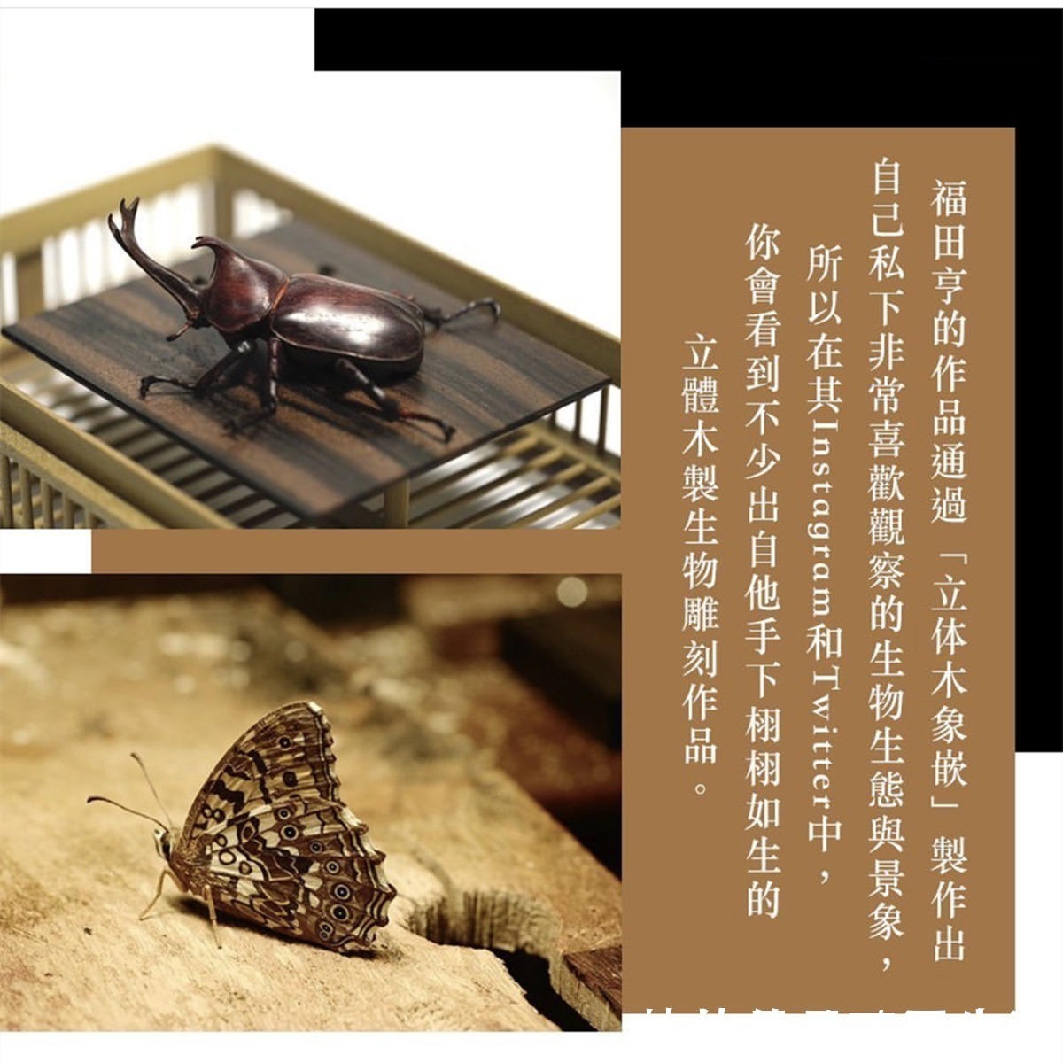 水滴|用雕刻的手法创作水滴,这位木匠艺术家不做二次元手办可惜了