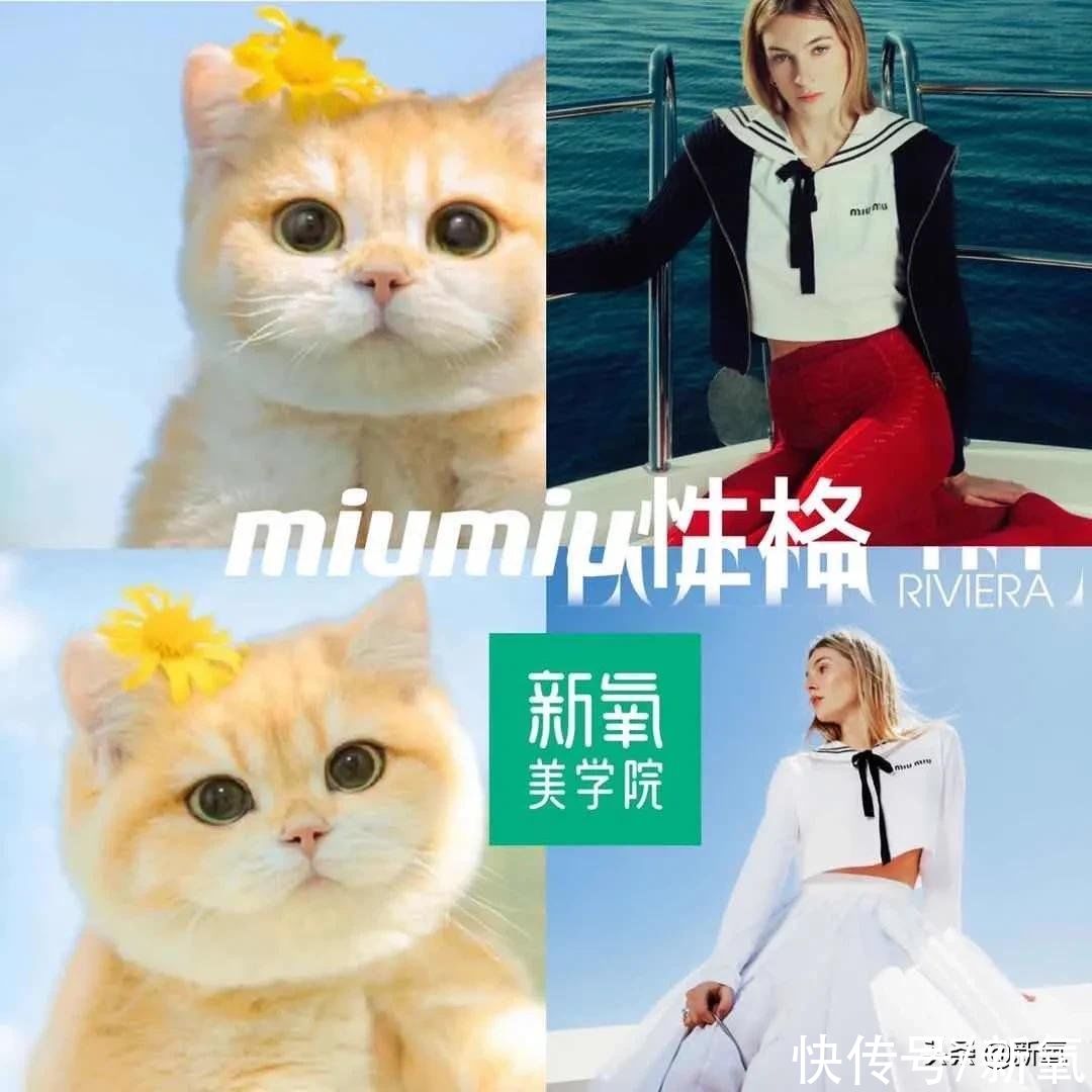 chMiu Miu是猫系，Chanel是蛇系，你是哪种奢牌人格？