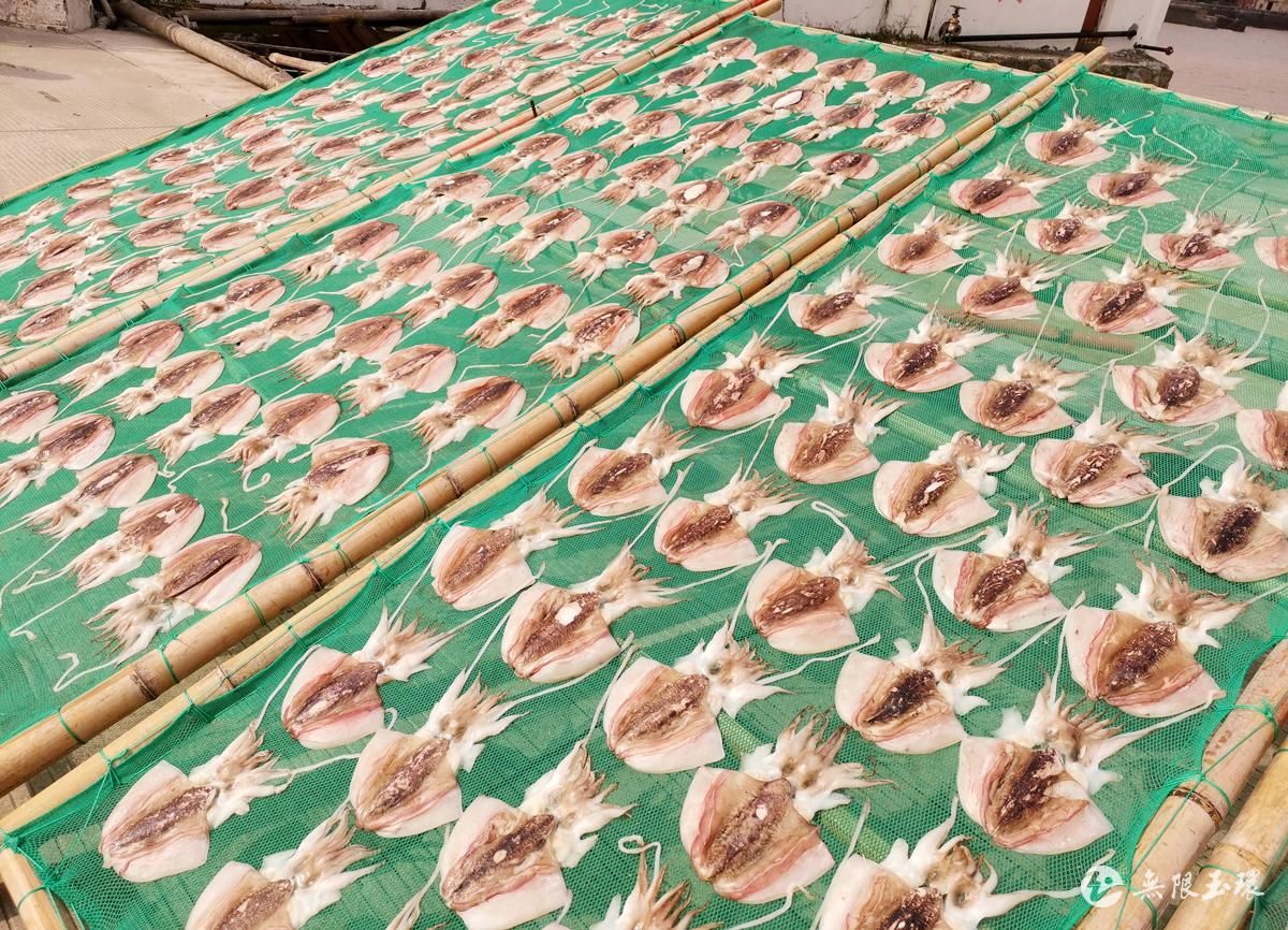 小雪节气晒鱼干、腌腊肉,那叫一个鲜香!