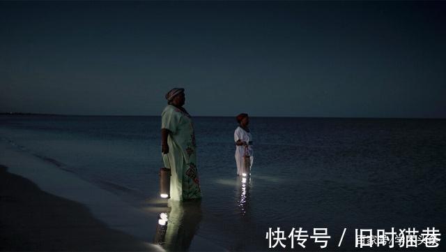 |2021 搞笑诺奖出炉；太多自由并不幸福