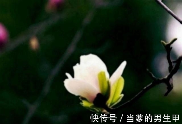 天蝎|9月，迎桃花，傍喜运，姻缘一线牵，从此不再是一个人的四大星座