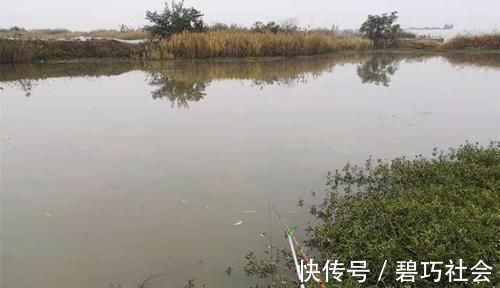 水温|初冬钓鲫鱼,不是钓得越远越好,实战告诉你,使用短竿也能连竿!