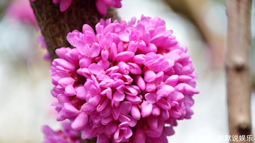 孩子|妈妈最大的智慧,就是让孩子们和聪明人聊天