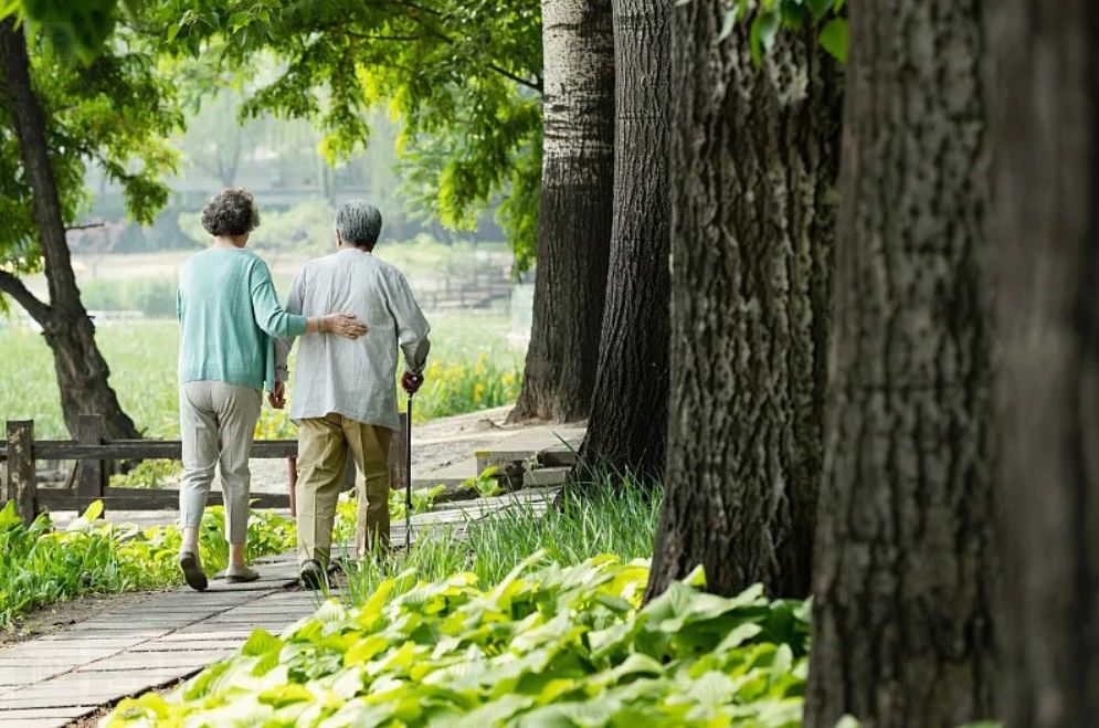 林清清|回暖别忘消食!周末吃多了,善后汤来也!