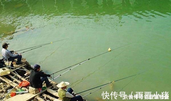 钓友|钓友鱼没钓到，钓了1只1米长1斤重的大虾，一起来欣赏一下吧