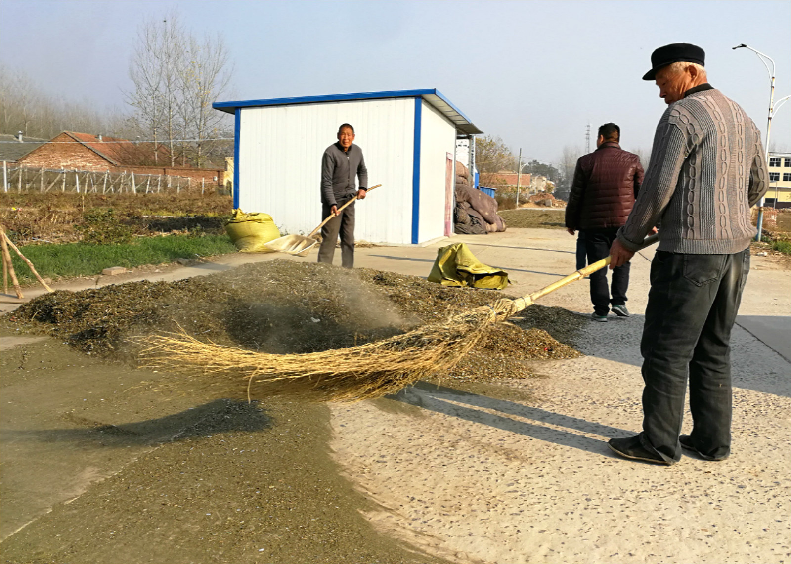果实|农村有种“鬼不缠”的植物，是流落民间的中药材，小时候当暗器