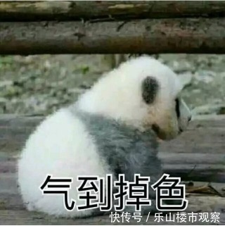 插座|不怕大家笑话，装修完了我才知道自己踩了多少坑！