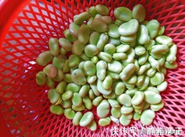 补锌|孩子宁愿不喝骨头汤,也要吃一点它,5.5元一斤,却能补钙补锌!