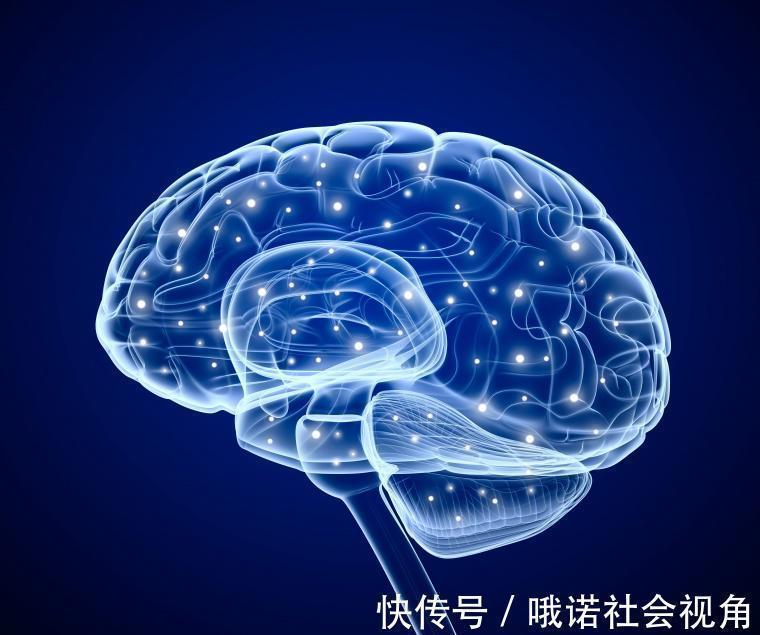 碳六烯酸|大脑最爱的食物,核桃只能排第4,第1名最常见却谁也想不到!