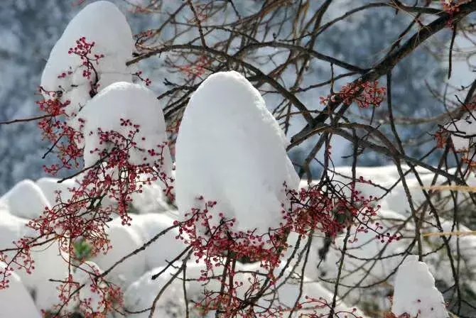 昆嵛山|一场冬雪后，昆嵛山竟变成这样……