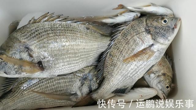 禁忌|钓鱼人如果有罪,我一定是罪不可赦,犯了钓鱼人最大的禁忌