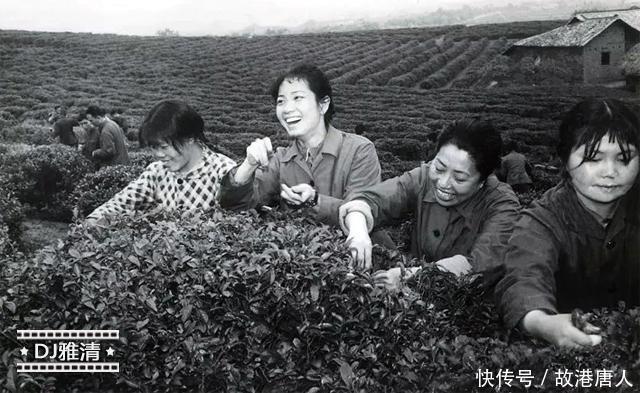 照片$李维康各时期老照片,从小美到老,图7有高玉倩,最后一张全家福