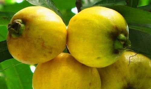 女性不想老得快，满脸长皱纹，3种食物当零食，