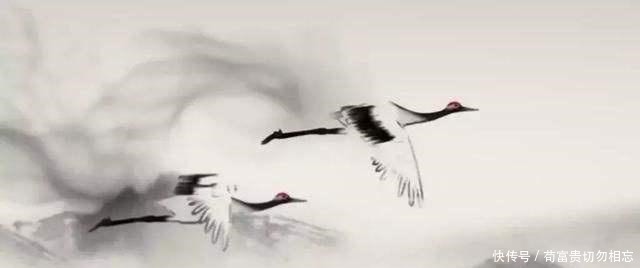 历史趣事——卫懿公好鹤亡国!