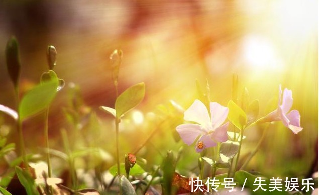 粗粮|曝光坑惨中国人的5个养生误区！你以为在养生，其实是在折寿