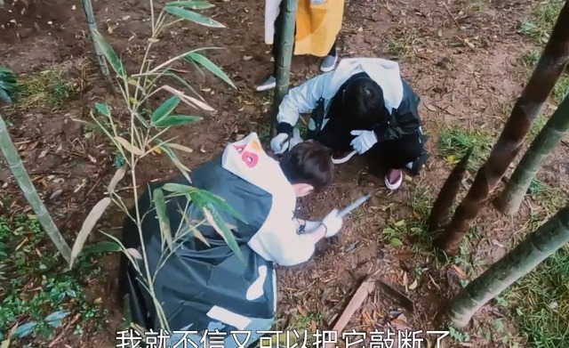 向往5 《向往5》仓库物价变贵,常驻嘉宾却“因祸得福”,大餐有着落了