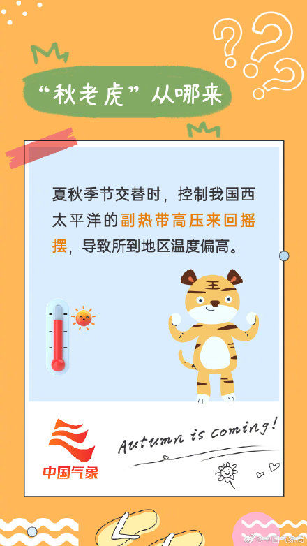 当心|嗷呜!处暑时节当心“秋老虎”出没