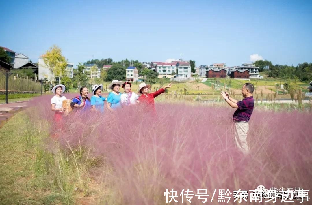 水景长廊|天柱三十里水景长廊有个“网红草”，快去拍照吧