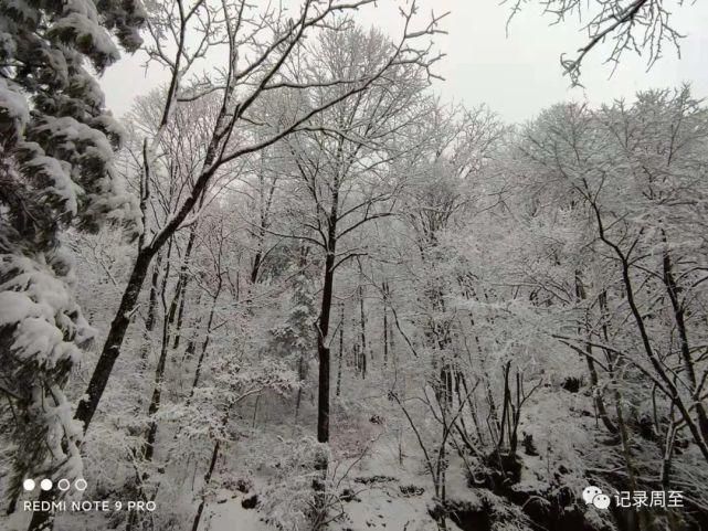 赏雪好去处！陕西黑河国家森林公园雪景和森林并存，风景美如画