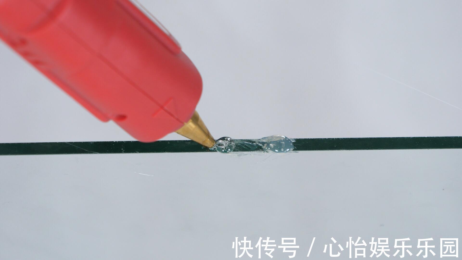 玻璃缸|家里有老鼠别急,把它放角落里,来多少抓多少,好方法简单实用