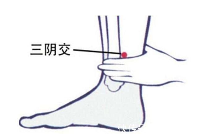 身体虚弱|曾身体虚弱，一受到风就感冒的老人，靠此法养生，健康逆袭