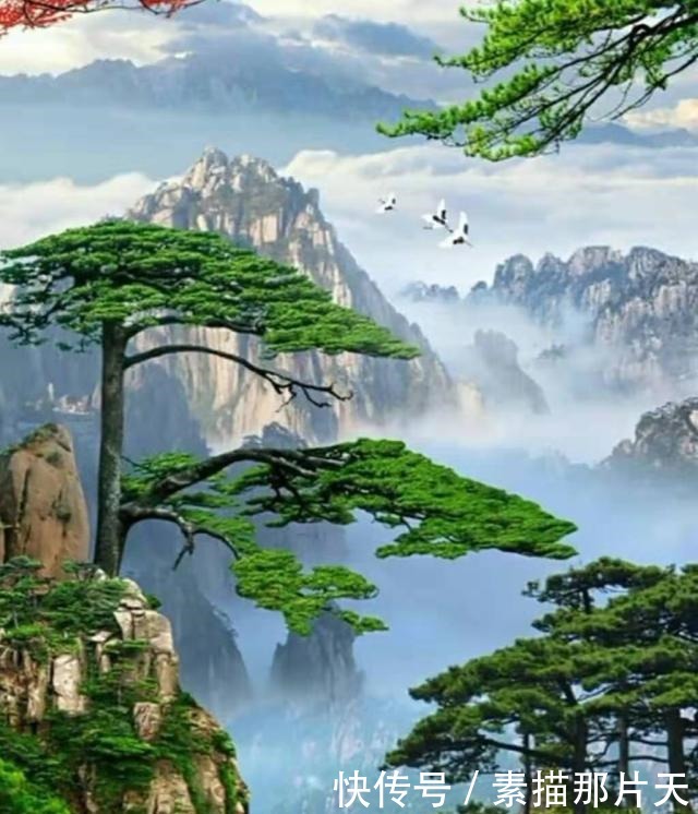 什么是为人真正的精明