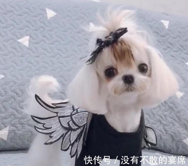 老书虫力荐5本架空历史文，文章好看又过瘾，让你一次爽到底！